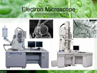 Electron Microscope
 