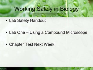 Working Safely in Biology
• Lab Safety Handout
• Lab One – Using a Compound Microscope
• Chapter Test Next Week!
 
