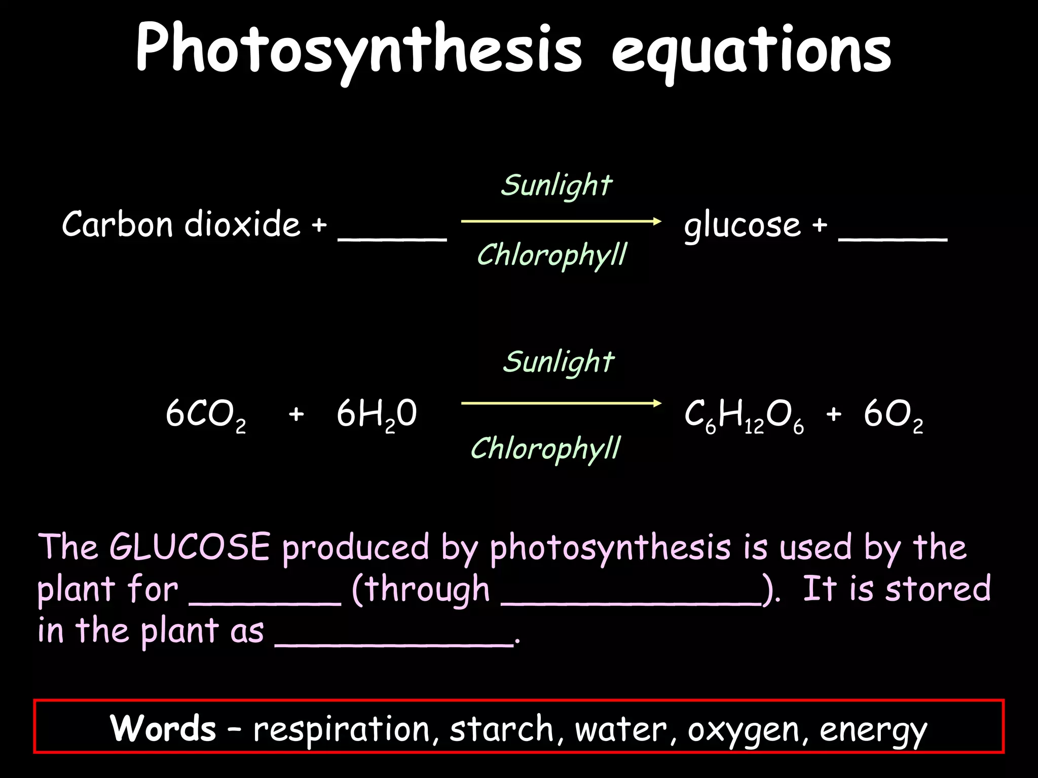02/03/15
Carbon dioxide + _____ glucose + _____
6CO2 + 6H20 C6H12O6 + 6O2
Sunlight
Chlorophyll
Sunlight
Chlorophyll
The GLUCOSE produced by photosynthesis is used by the
plant for _______ (through ____________). It is stored
in the plant as ___________.
Words – respiration, starch, water, oxygen, energy
Photosynthesis equationsPhotosynthesis equations
 