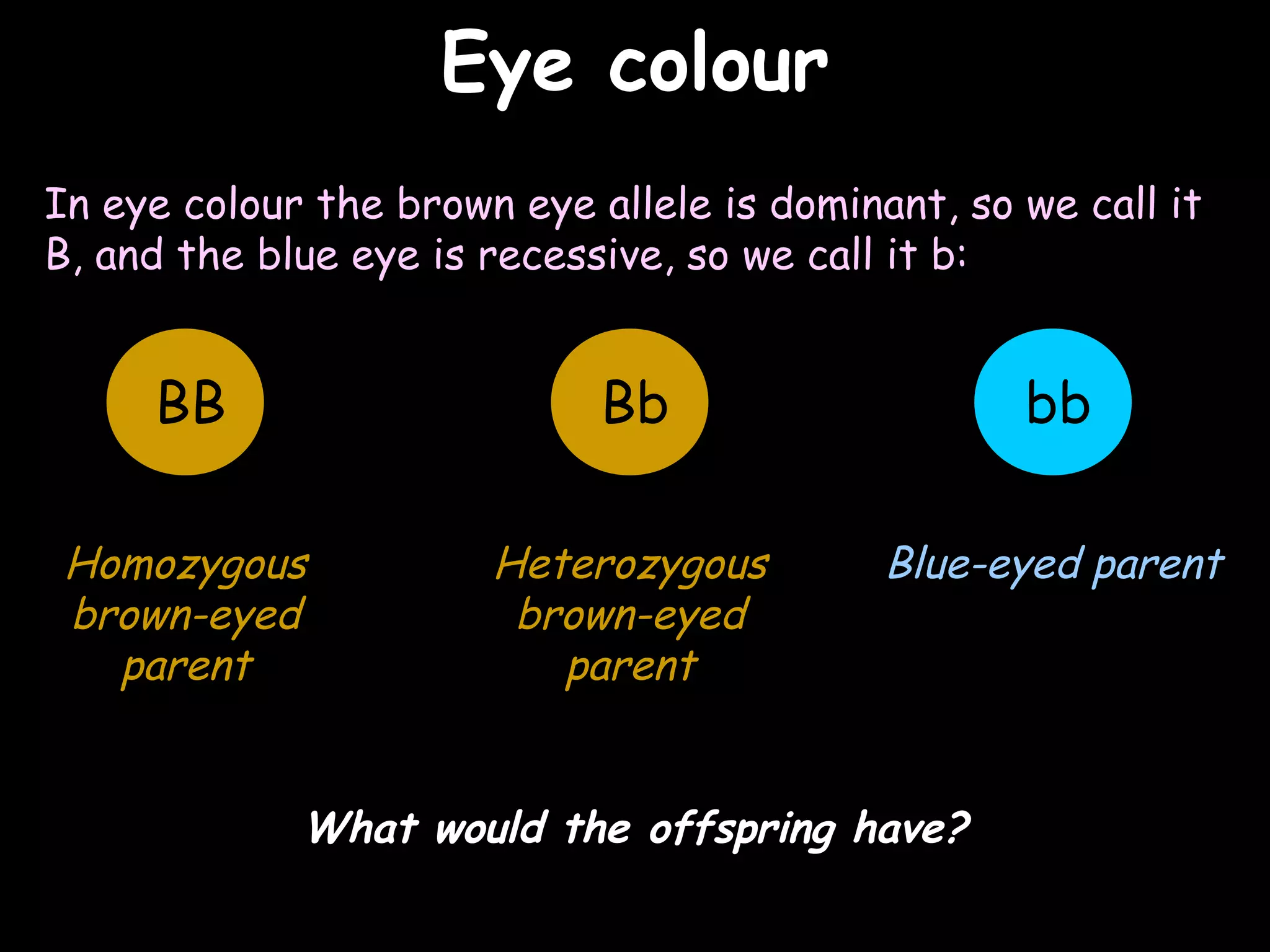 02/03/15
Eye colourEye colour
In eye colour the brown eye allele is dominant, so we call it
B, and the blue eye is recessive, so we call it b:
bbBB Bb
Homozygous
brown-eyed
parent
Heterozygous
brown-eyed
parent
Blue-eyed parent
What would the offspring have?
 