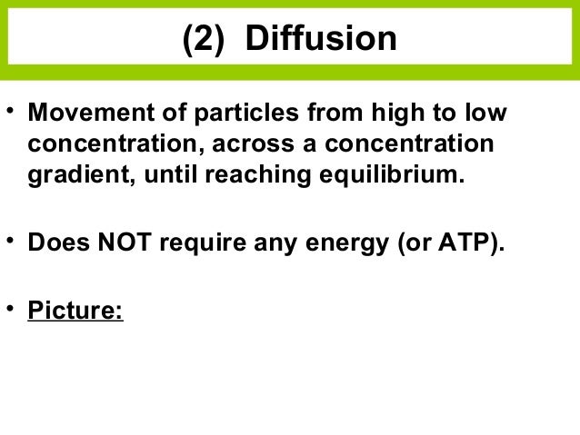 as biology unit 2 notes Yo, this is the biology unit 2 revision notes author's note: i am also a student who has recently finished his as levels with 4as in chemistry, biology, phys. as biology unit 2 notes Yo, this is the biology unit 2 revision notes author's note: i am also a student who has recently finished his as levels with 4as in chemistry, biology, phys.