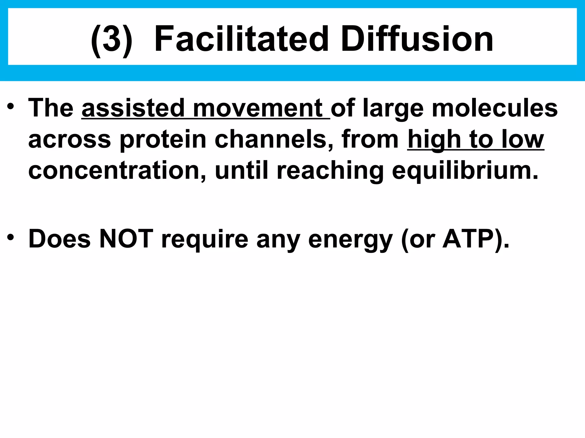 Biology Unit 2 Notes: Cell Membrane Transport | PPT