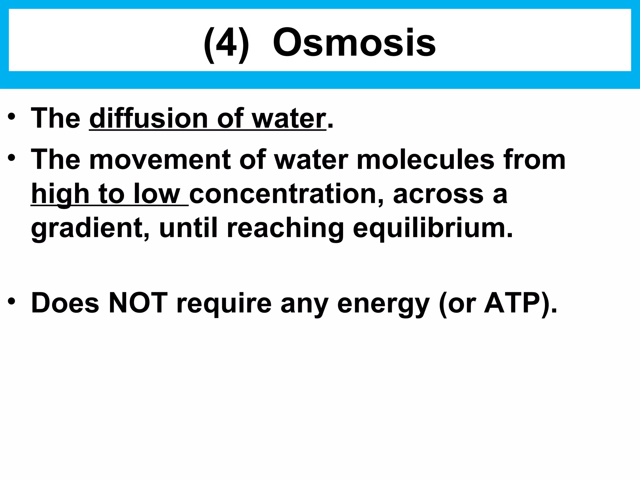 Biology Unit 2 Notes: Cell Membrane Transport | PPT