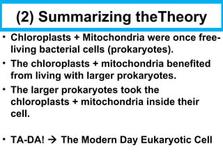 (2) Summarizing theTheory 
• Chloroplasts + Mitochondria were once free-living 
bacterial cells (prokaryotes). 
• The chloroplasts + mitochondria benefited 
from living with larger prokaryotes. 
• The larger prokaryotes took the 
chloroplasts + mitochondria inside their 
cell. 
• TA-DA!  The Modern Day Eukaryotic Cell 
 
