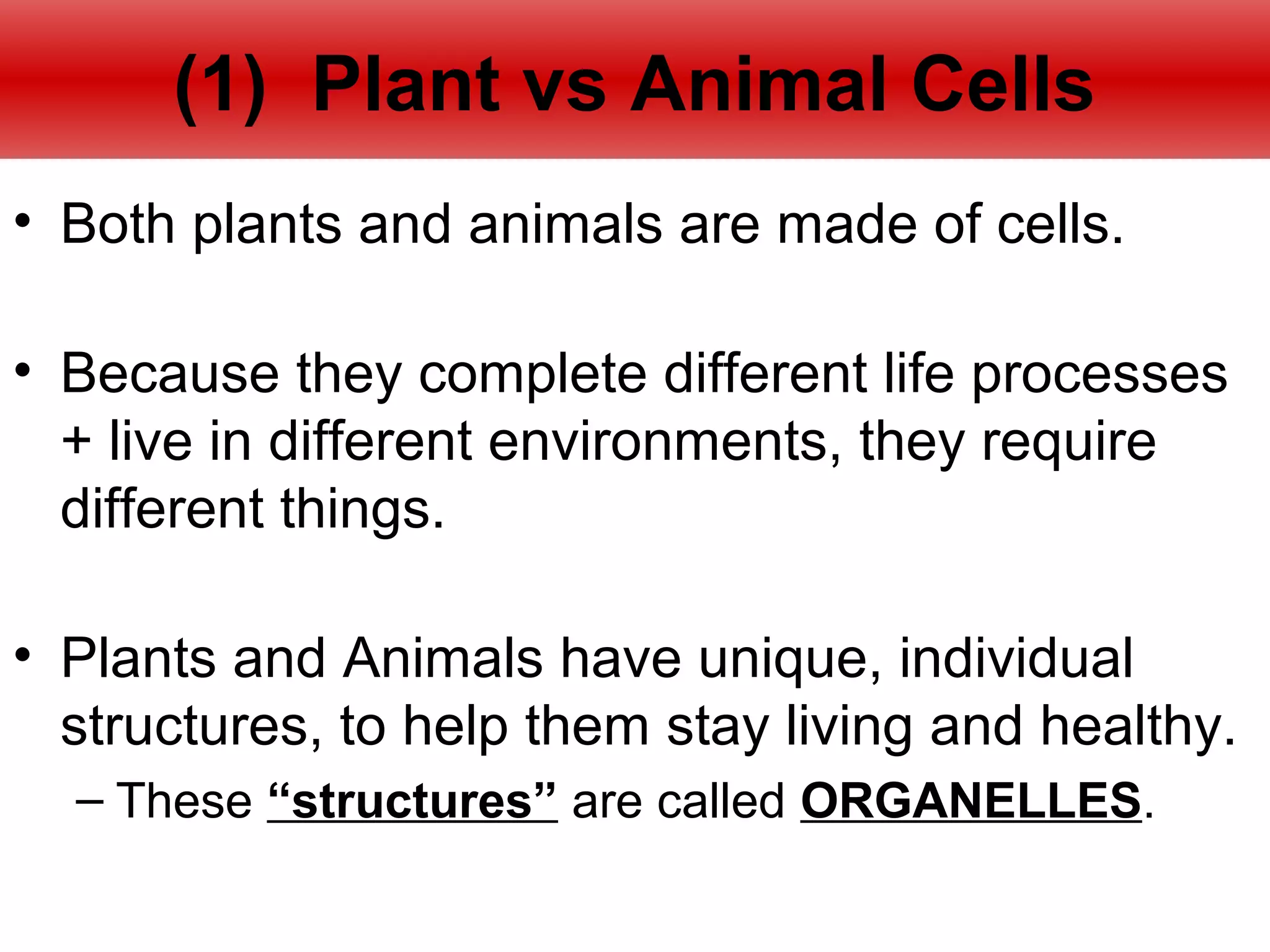 Biology unit 2 cells plant and animal cell notes | PPT