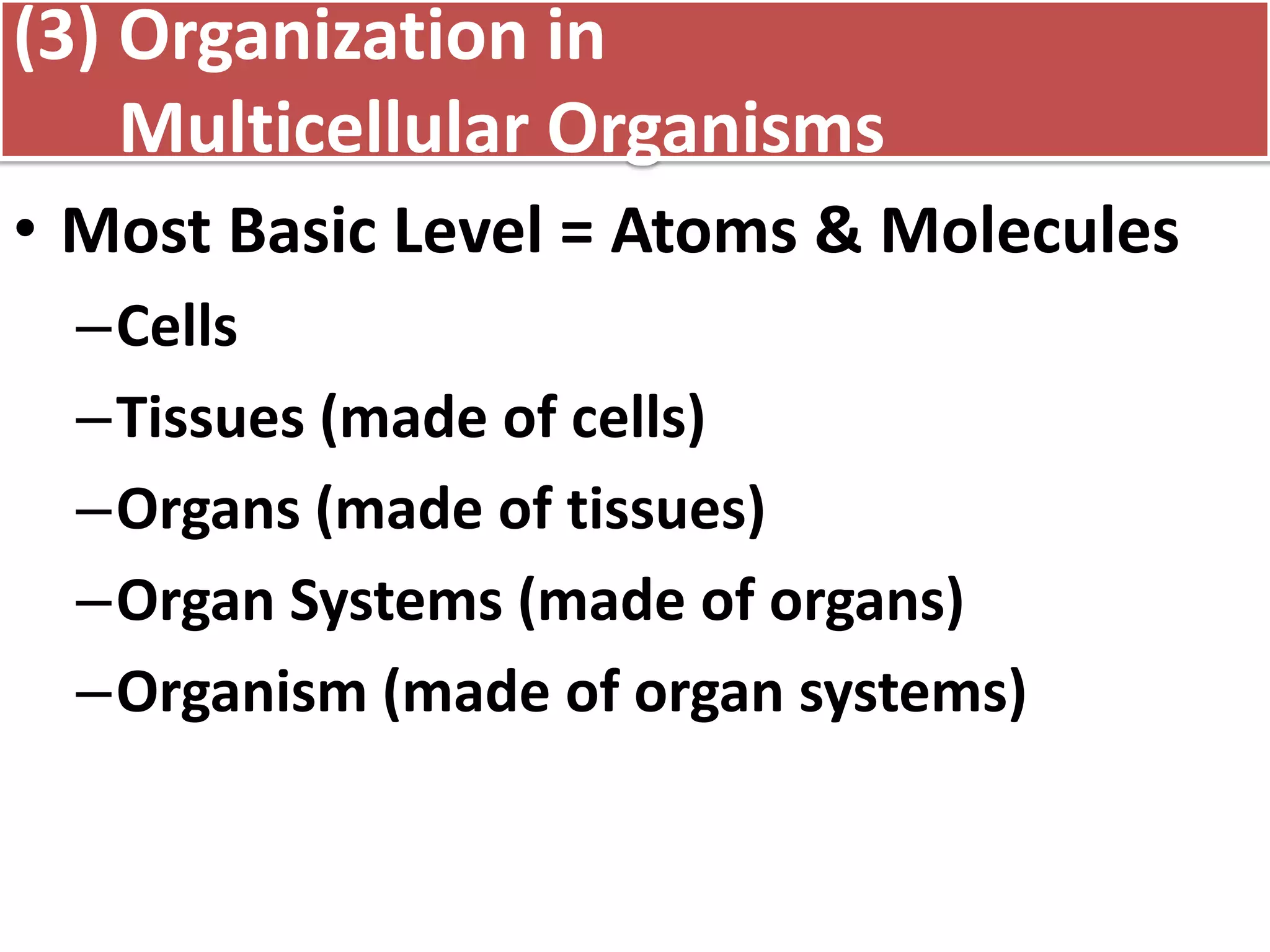 (3) Organization in
Multicellular Organisms
• Most Basic Level = Atoms & Molecules
–Cells
–Tissues (made of cells)
–Organs (made of tissues)
–Organ Systems (made of organs)
–Organism (made of organ systems)
