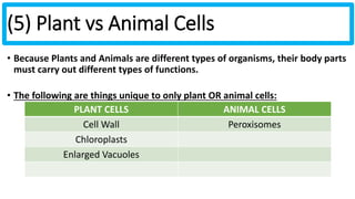 Biology Unit 2 Notes: Cells | PPTX | Biological Sciences | Science