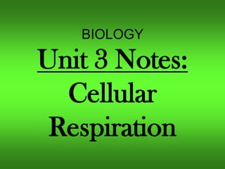 BIOLOGY

Unit 3 Notes:
Cellular
Respiration

 