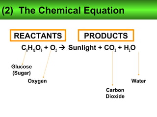 (2) The Chemical Equation 
REACTANTS PRODUCTS 
C6H12O6 + O2  Sunlight + CO2 + H2O 
Carbon 
Dioxide 
Water 
Glucose 
(Sugar) 
Oxygen 
 