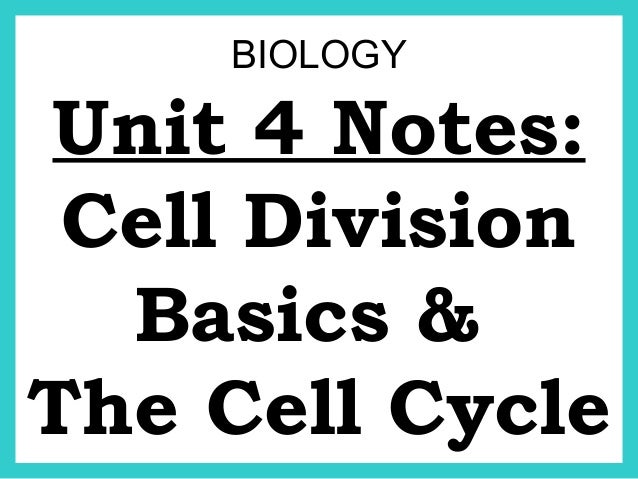 cell division notes