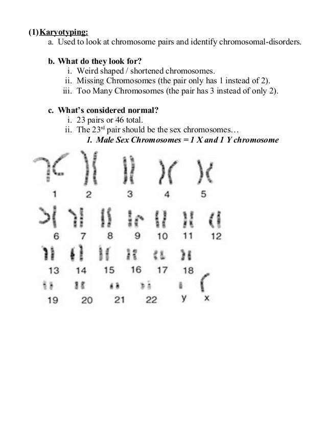 Biology unit 4 cell division karyotyping quiz everything you need to