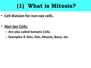 (1) What is Mitosis?
• Cell division for non-sex cells.
• Non-Sex Cells:
– Are also called Somatic Cells.
– Examples Skin, Hair, Muscle, Bone, etc.
 