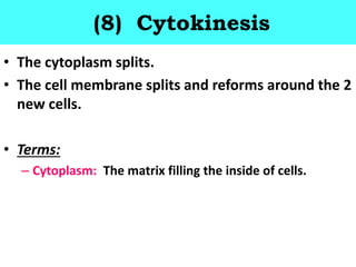 (8) Cytokinesis
• The cytoplasm splits.
• The cell membrane splits and reforms around the 2
new cells.
• Terms:
– Cytoplasm: The matrix filling the inside of cells.
 
