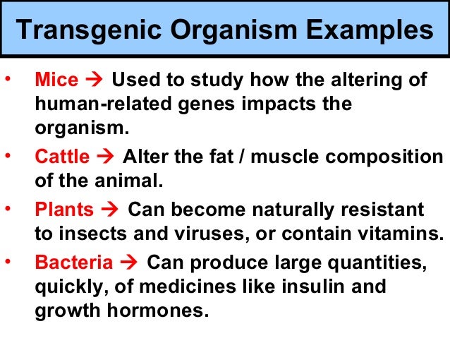 Biology unit 5 genetics genetic engineering notes