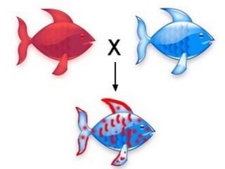 Trait Science Non Example Biology Unit 5 Notes: Non-Mendelian Traits | PPT