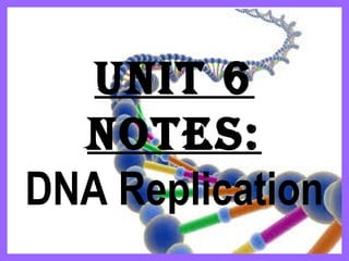 Unit 6
notes:
DNA Replication
 