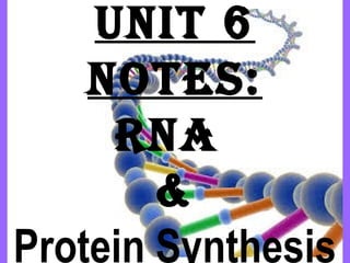 Unit 6
notes:
RnA
&
Protein Synthesis
 