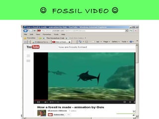  FOSSIL VIDEO 
 