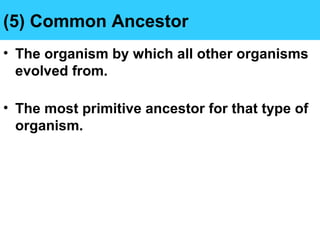 (5) Common Ancestor
• The organism by which all other organisms
evolved from.
• The most primitive ancestor for that type of
organism.
 