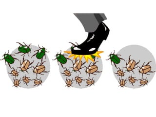 Biology unit 7 evolution intro to evolution and natural selection notes ...