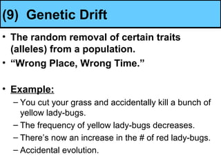 (9) Genetic Drift
• The random removal of certain traits
(alleles) from a population.
• “Wrong Place, Wrong Time.”
• Example:
– You cut your grass and accidentally kill a bunch of
yellow lady-bugs.
– The frequency of yellow lady-bugs decreases.
– There’s now an increase in the # of red lady-bugs.
– Accidental evolution.
 