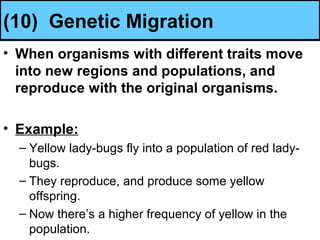 (10) Genetic Migration
• When organisms with different traits move
into new regions and populations, and
reproduce with the original organisms.
• Example:
– Yellow lady-bugs fly into a population of red lady-
bugs.
– They reproduce, and produce some yellow
offspring.
– Now there’s a higher frequency of yellow in the
population.
 