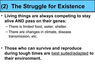 Biology Unit 7 Notes: Evolution & Natural Selection | PPT