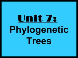 Unit 7:
Phylogenetic
Trees
 