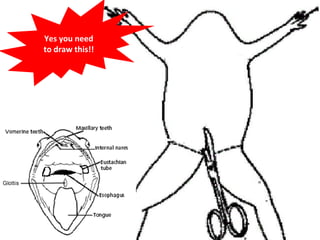 Yes you need
to draw this!!