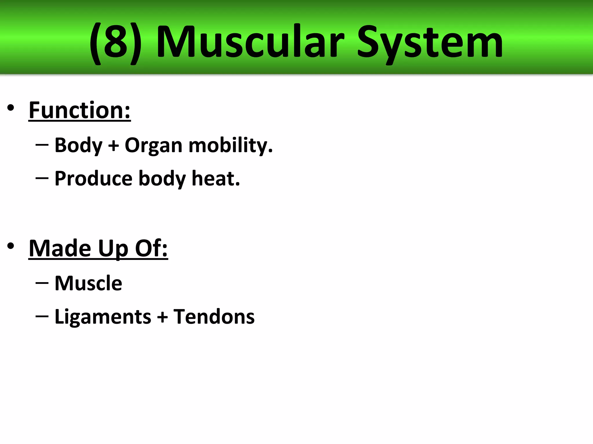 (8) Muscular System
• Function:
– Body + Organ mobility.
– Produce body heat.
• Made Up Of:
– Muscle
– Ligaments + Tendons