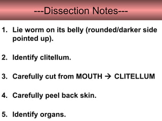 ---Dissection Notes---
1. Lie worm on its belly (rounded/darker side
pointed up).
2. Identify clitellum.
3. Carefully cut from MOUTH  CLITELLUM
4. Carefully peel back skin.
5. Identify organs.
 