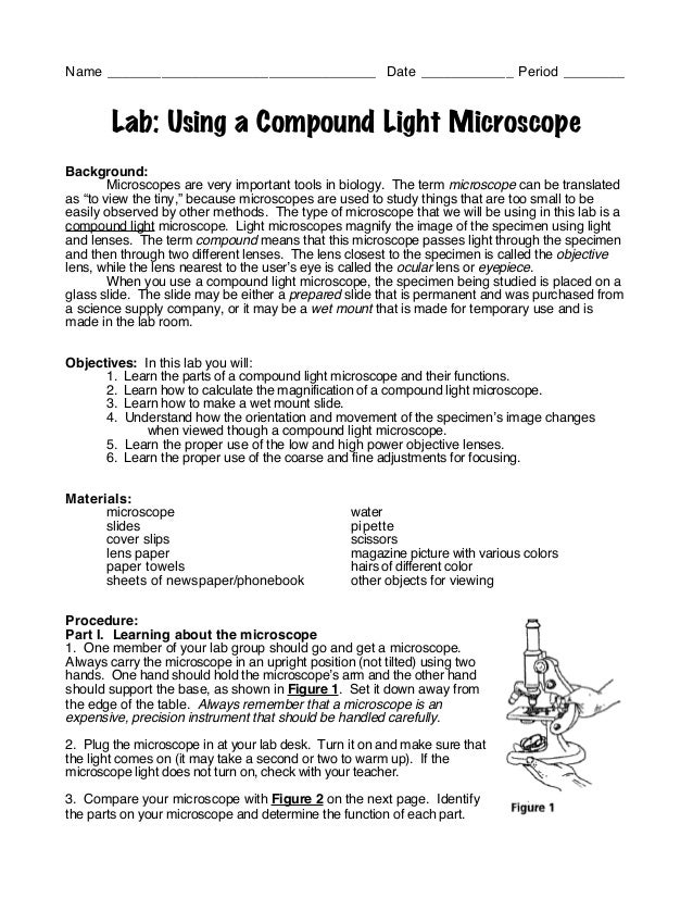 Printables Microscope Lab Worksheet biology using microscope lab date period a compound light backgrou