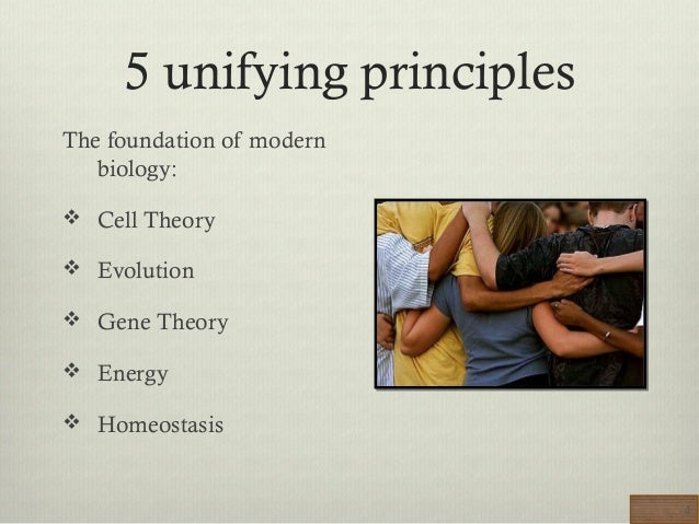 Unifying Principles of