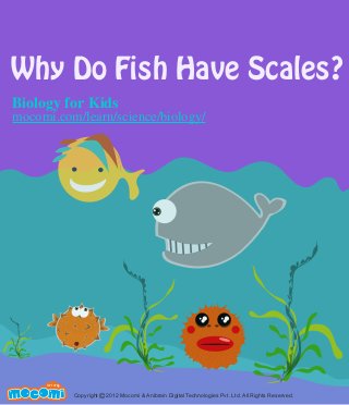 Why Do Fish Have Scales?
UNF FOR ME!
Copyright 2012 Mocomi & Anibrain Digital Technologies Pvt. Ltd. All Rights Reserved.©
Biology for Kids
mocomi.com/learn/science/biology/
 