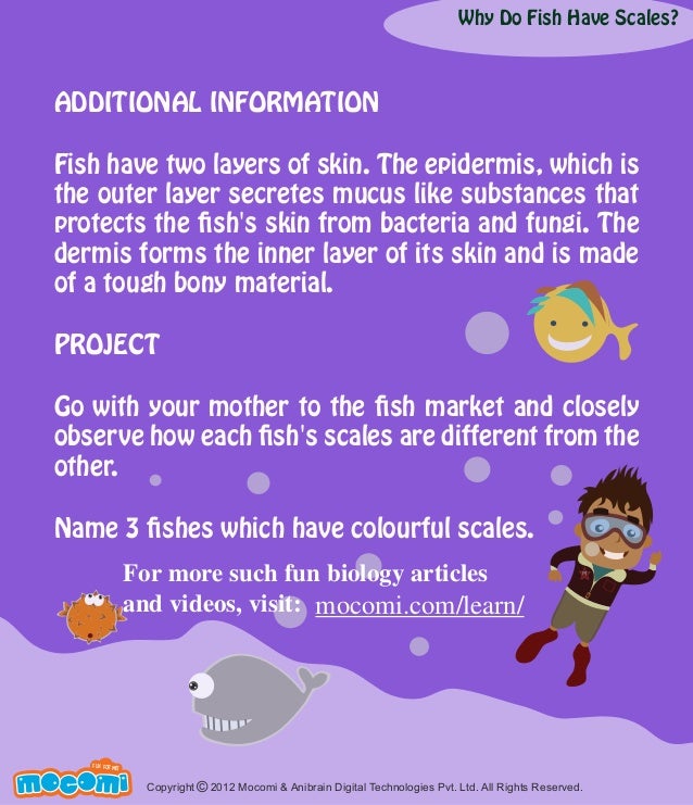 Why Do Fish Have Scales?