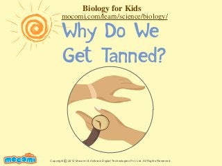 Why Do We
Get Tanned?
UNF FOR ME!
Copyright 2012 Mocomi & Anibrain Digital Technologies Pvt. Ltd. All Rights Reserved.©
Biology for Kids
mocomi.com/learn/science/biology/
 