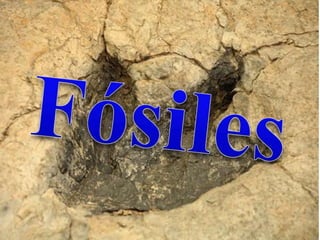 Fósiles  