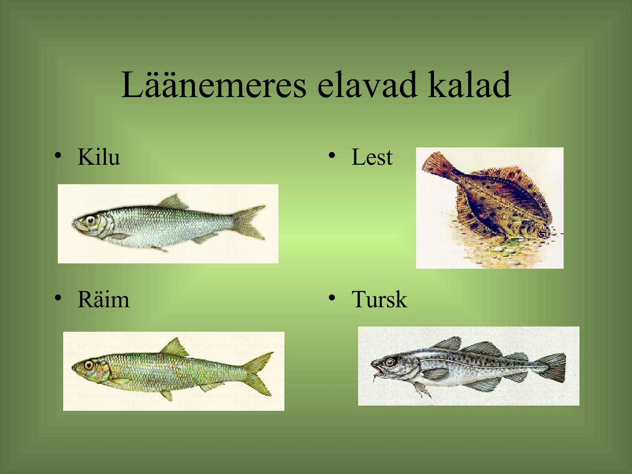 Kalad Rrrr BIOLOOGIA | PPT