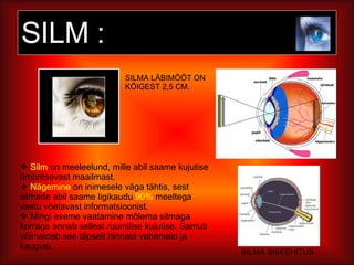 SILM :  Silm  on meeleelund, mille abil saame kujutise ümbritsevast maailmast.  Nägemine  on inimesele väga tähtis, sest silmade abil saame ligikaudu  90%  meeltega vastu võetavast informatsioonist.  Mingi eseme vaatamine mõlema silmaga korraga annab sellest ruumilise kujutise. Samuti võimaldab see täpselt hinnata vahemaid ja kaugusi. SILMA SISEEHITUS SILMA LÄBIMÕÕT ON KÕIGEST 2,5 CM. 