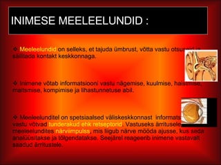 INIMESE MEELEELUNDID : Meeleelundid  on selleks, et tajuda ümbrust, võtta vastu otsuseid ja säilitada kontakt keskkonnaga.  Inimene võtab informatsiooni vastu nägemise, kuulmise, haistmise, maitsmise, kompimise ja lihastunnetuse abil.  Meeleelunditel on spetsiaalsed väliskeskkonnast  informatsiooni vastu võtvad  tunderakud ehk retseptorid . Vastuseks ärritusele tekib meeleelundites  närviimpulss , mis liigub närve mööda ajusse, kus seda analüüsitakse ja tõlgendatakse. Seejärel reageerib inimene vastavalt saadud ärritustele. 