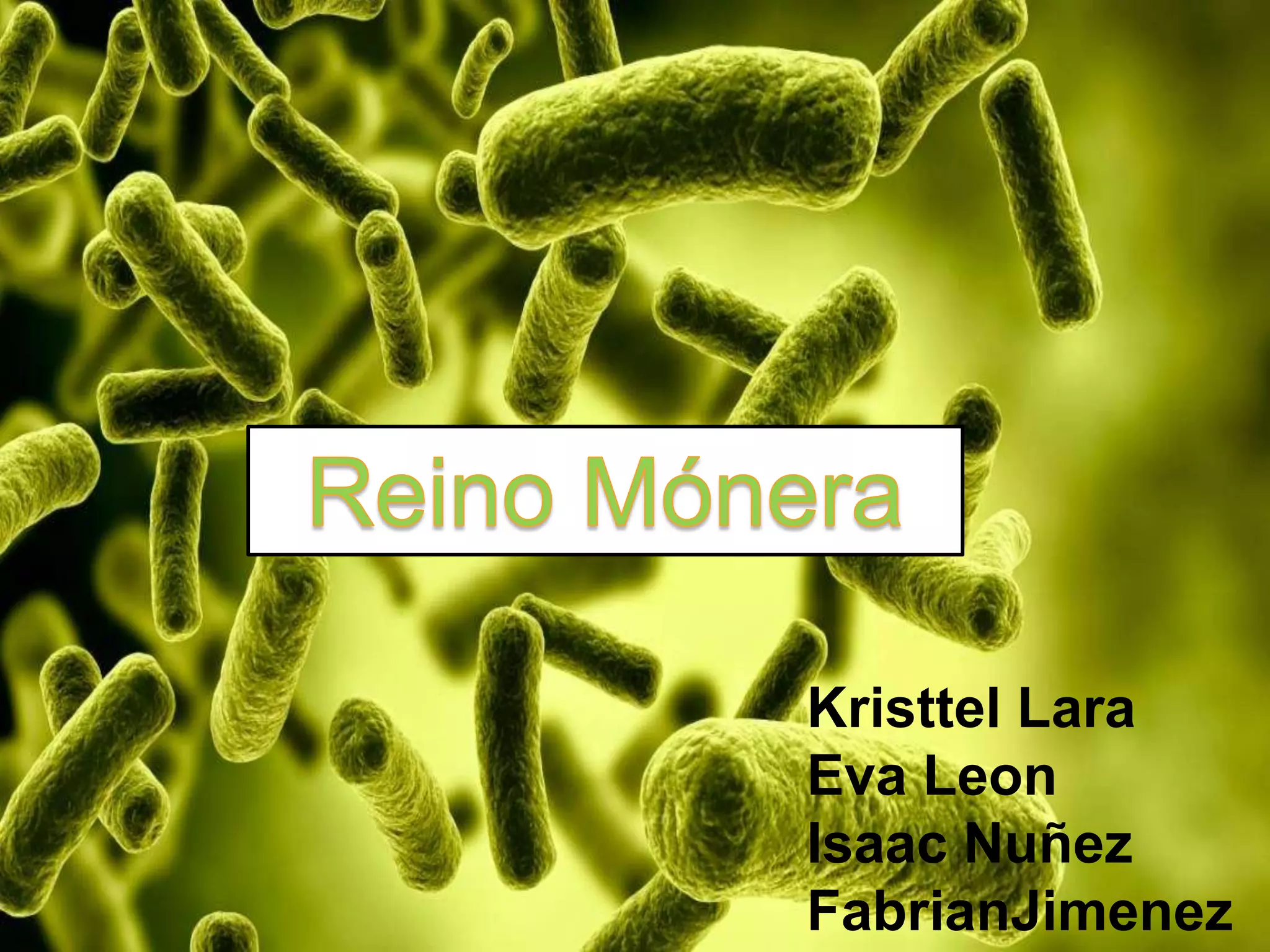 Biolo reino monera | PPTX