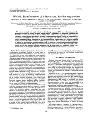 APPLIED AND ENVIRONMENTAL MICROBIOLOGY, Feb. 1991, p. 480-485                                                           Vol. 57, No. 2
0099-2240/91/020480-06$02.00/0
Copyright ©) 1991, American Society for Microbiology


         Biolistic Transformation of a Procaryote, Bacillus megaterium
  KATHERINE B. SHARK,' FRANZINE D. SMITH,2* PETER R. HARPENDING,' JEANETTE L. RASMUSSEN,3
                                              AND JOHN C. SANFORD2
   Department of Horticultural Sciences, Cornell University, Geneva, New York 144562; School of Biological Sciences,
            University of Nebraska, Lincoln, Nebraska 68588-0118'; and Department of Biological Sciences,
                          Plattsburgh State University College, Plattsburgh, New York 129013
                                          Received 16 July 1990/Accepted 25 November 1990

              We present a simple and rapid method for introducing exogenous DNA into a bacterium, Bacillus
           megaterium, utilizing the recently developed biolistic process. A suspension of B. megaterium was spread onto
           the surface of nonselective medium. Plasmid pUB110 DNA, which contains a gene that confers kanamycin
           resistance, was precipitated onto tungsten particles. Using a biolistic propulsion system, the coated particles
           were accelerated at high velocities into the B. megaterium recipient cells. Selection was done by use of an agar
           overlay containing 50 ,Ig of kanamycin per ml. Antibiotic-resistant transformants were recovered from the
           medium interface after 72 h of incubation, and the recipient strain was shown to contain the delivered plasmid
           by agarose gel electrophoresis of isolated plasmid DNA. All strains of B. megaterium tested were successfully
           transformed by this method, although transformation efficiency varied among strains. Physical variables of the
           biolistic process and biological variables associated with the target cells were optimized, yielding >104
           transformants per treated plate. This is the first report of the biolistic transformation of a procaryote.

   A great deal of effort has gone into the development of               tion of B. megaterium. Some biological and physical param-
transformation technology, resulting in a large body of                  eters affecting the efficacy of this technique are elucidated
knowledge and diverse methodologies. Some methods are                    with respect to this species.
very simple but are not widely applicable. Other methods
may be more widely useful but are more complex or difficult.                           MATERIALS AND METHODS
Many gram-negative bacteria, such as Escherichia coli, are
transformed easily by pretreatment with divalent metal ions                 Bacterial strains and plasmid DNA. B. megaterium 7A17
before the addition of plasmid DNA (6). Conversely, many                 (metA4), 7A1, 7A2, 7A16, 7A24 (leuBI), and B. subtilis 1E6
gram-positive bacteria are notoriously difficult to transform.           [thr-5 trpC2(pUB110)] were provided by the Bacillus Ge-
Natural transformation of gram-positive bacteria is only                 netic Stock Center, Ohio State University, Columbus (Table
known to occur among Bacillus subtilis and a few species of              1). B. megaterium pv. cerealis Hosford (ATCC 35075), the
Streptococcus. With considerable effort, protoplasting, con-             causal agent of white blotch of wheat, was obtained from
jugation, electroporation, and injured-cell techniques have              American Type Culture Collection, Rockville, Md. (11). All
made possible the genetic manipulation of various gram-                  cultures were maintained on Schaeffer's sporulation medium
positive genera, including Bacillus, Lactobacillus, Listeria,            at 4°C (22).
Staphylococcus, Streptococcus, Streptomyces, and coryne-                    Plasmid pUB110, a 4.5-kb plasmid that confers kanamycin
form bacteria (15, 16, 23, 24). However, some recalcitrant               resistance, was isolated from B. subtilis 1E6. Strain 1E6 was
species remain untransformable even after exhaustive test-               incubated with aeration (150 rpm) for 24 h in Luria-Bertani
ing of currently available techniques. Also, many of the                 (LB) broth plus 50 ,ug of kanamycin sulfate per ml at 37°C,
protocols now in use must be painstakingly adjusted for                  and plasmid DNA was isolated by the boiling lysis method
individual strains to achieve satisfactory results. It is appar-         (17). Plasmid DNA was purified by CsCl density gradient
ent that a widely applicable, rapid method of plasmid trans-             ultracentrifugation. Purified DNA was resuspended in TE
fer for procaryotic cells is still highly desirable.                     buffer (1 mM Tris [pH 7.8], 0.1 mM EDTA), and the con-
   The genus Bacillus contains species that are both scientif-           centration was determined spectrophotometrically.
ically and commercially important (18). Strains of B. mega-                 Preparation of cells and microprojectiles for bombardment.
terium developed for industry are used in the production of              B. megaterium strains were grown in LB broth for 15 h at
vitamin B12, penicillin amidase, nucleotides, and other                  35°C with aeration (250 rpm). A 50-ml sample of each culture
chemicals. Some strains of B. megaterium are also signifi-               was centrifuged for 10 min at 8.93 x 102 x g at room
cant as plant pathogens. The technique currently employed                temperature. The bacterial pellet was resuspended in 5 ml of
for plasmid transformation in this species is protoplasting (4,          supernatant, and then the cell density was determined spec-
25, 26). Although this method has resulted in successful                 trophotometrically. Except where noted, 108 CFU were
plasmid transfer, preparation and regeneration of protoplasts            spread on the surface of each plate, containing LB medium
is an onerous process, often resulting in low efficiency and             with methionine (50 ,ug/ml), D-sorbitol (1.0 M), D-mannitol
inability to achieve reproducible results. In this report, we            (0.75 M), and agar (15 g/liter). The surface of the plate was
demonstrate the use of biolistic technology (formerly used as            slowly dried before bombardment to remove all visible
a method of gene transfer only in eucaryotic cells) as an                water.
expeditious means for high-efficiency plasmid transforma-                  M5 tungsten particles (Sylvania, GTE Products Corp.,
                                                                         Towanda, Pa.) were used as microprojectiles. These parti-
                                                                         cles were characterized by a mean distribution size of 0.771
  *
      Corresponding author.                                              pLm, with a median of 0.362 p.m and a mode in the range of
                                                                   480
 