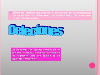     Entre los cambios que afectan la estructura de los cromosomas
     se encuentran las delecciones, las duplicaciones, las inversiones
     y las translocaciones.




    Las deleciones son aquellos cambios en los
    que, tras la ruptura, se produce la reunión de
    los fragmentos pero con pérdida de un
    segmento cromosómico
 
