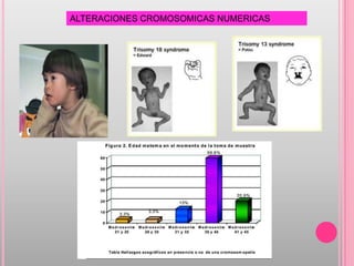 ALTERACIONES CROMOSOMICAS NUMERICAS
 