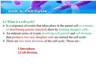 4.1 What is a cell cycle?
 Is a sequence of events that takes place in the parent cell as a means
of distributing genetic materials there by forming daughter cells .
 An ordered series of events involving cell growth and cell division
that produces two new daughter cells are termed the cell cycle.
 There are two main divisions of the cell cycle. These are:-
1.Interphase
2.Cell division.
 