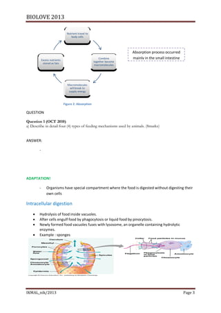BIOLOVE 2013

                                 Nutrient travel to
                                    body cells




                                                                        Absorption process occurred
            Excess nutrients
                                                          Combine       mainly in the small intestine
                                                      together become
             stored as fats
                                                      macromolecules




                                 Macromolecules
                                   will break to
                                  supply energy



                               Figure 2: Absorption

QUESTION

Question 1 (OCT 2010)
a) Describe in detail four (4) types of feeding mechanisms used by animals. (8marks)


ANSWER:

        -




ADAPTATION!

        -       Organisms have special compartment where the food is digested without digesting their
                own cells

Intracellular digestion

       Hydrolysis of food inside vacuoles.
       After cells engulf food by phagocytosis or liquid food by pinocytosis.
       Newly formed food vacuoles fuses with lysosome, an organelle containing hydrolytic
        enzymes.
       Example : sponges




IKMAL_nik/2013                                                                                          Page 3
 