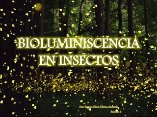 BIOLUMINISCENCIA
EN INSECTOS
Por: Beatriz Elena Olmos Andrade
Sección 4
 