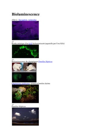 Bioluminescence
Aller à : Navigation, rechercher




Rendu artistique d'un krill bioluminescent (aquarelle par Uwe Kils)




Bioluminescence du champignon Panellus Stipticus




Omphalotus nidiformis, éclairé et lumière éteinte




Panellus Stipticus
 