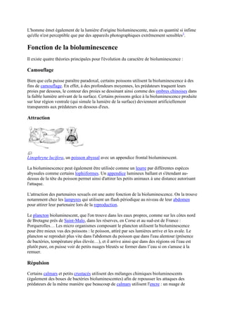 L'homme émet également de la lumière d'origine bioluminescente, mais en quantité si infime
qu'elle n'est perceptible que par des appareils photographiques extrêmement sensibles1.

Fonction de la bioluminescence
Il existe quatre théories principales pour l'évolution du caractère de bioluminescence :

Camouflage

Bien que cela puisse paraître paradoxal, certains poissons utilisent la bioluminescence à des
fins de camouflage. En effet, à des profondeurs moyennes, les prédateurs traquent leurs
proies par dessous, le contour des proies se dessinant ainsi comme des ombres chinoises dans
la faible lumière arrivant de la surface. Certains poissons grâce à la bioluminescence produite
sur leur région ventrale (qui simule la lumière de la surface) deviennent artificiellement
transparents aux prédateurs en dessous d'eux.

Attraction




Linophryne lucifera, un poisson abyssal avec un appendice frontal bioluminescent.

La bioluminescence peut également être utilisée comme un leurre par différentes espèces
abyssales comme certains lophiiformes. Un appendice lumineux ballant et s'étendant au-
dessus de la tête du poisson permet ainsi d'attirer les petits animaux à une distance autorisant
l'attaque.

L'attraction des partenaires sexuels est une autre fonction de la bioluminescence. On la trouve
notamment chez les lampyres qui utilisent un flash périodique au niveau de leur abdomen
pour attirer leur partenaire lors de la reproduction.

Le plancton bioluminescent, que l'on trouve dans les eaux propres, comme sur les côtes nord
de Bretagne près de Saint-Malo, dans les réserves, en Corse et au sud-est de France :
Porquerolles… Les micro organismes composant le plancton utilisent la bioluminescence
pour être mieux vus des poissons : le poisson, attiré par ses lumières arrive et les avale. Le
plancton se reproduit plus vite dans l'abdomen du poisson que dans l'eau alentour (présence
de bactéries, température plus élevée…), et il arrive ainsi que dans des régions où l'eau est
plutôt pure, on puisse voir de petits nuages bleutés se former dans l’eau si on s'amuse à la
remuer.

Répulsion

Certains calmars et petits crustacés utilisent des mélanges chimiques bioluminescents
(également des boues de bactéries bioluminescentes) afin de repousser les attaques des
prédateurs de la même manière que beaucoup de calmars utilisent l'encre : un nuage de
 