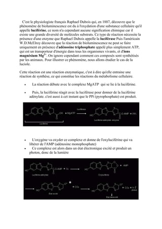 C'est le physiologiste français Raphael Dubois qui, en 1887, découvre que le
phénomène de bioluminescence est du à l'oxydation d'une substance cellulaire qu'il
appelle luciférine, ce nom n'a cependant aucune signification chimique car il
existe une grande diversité de molécules substrats. Ce type de réaction nécessite la
présence d'une enzyme que Raphael Dubois appelle la luciférase Puis l'américain
W.D.McElroy découvre que la réaction de bioluminescence ne peut se faire
uniquement en présence d'adénosine triphosphate appelé plus simplement ATP,
qui est un transporteur d'énergie dans tous les organismes vivants, et d'ions
magnésium Mg2+. On ignore cependant comment ces composés sont synthétisés
par les animaux. Pour illustrer ce phénomène, nous allons étudier le cas de la
luciole.

Cette réaction est une réaction enzymatique, c'est à dire qu'elle entraine une
réaction de synthèse, ce qui constitue les réactions du métabolisme cellulaire.

        La réaction débute avec le complexe MgATP qui se lie à la luciférine.

        Puis, la luciférine réagit avec la luciférase pour donner de la luciférine
      adénylate. c'est aussi à cet instant que le PPi (pyrophosphate) est produit.




        L'oxygène va oxyder ce complexe et donne de l'oxyluciférine qui va
      libérer de l'AMP (adénosine monophosphate)
        Ce complexe est alors dans un état électronique excité et produit un
      photon, donc de la lumière
 